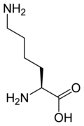Pasted image 20241214140346.png