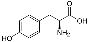 Pasted image 20241214140439.png