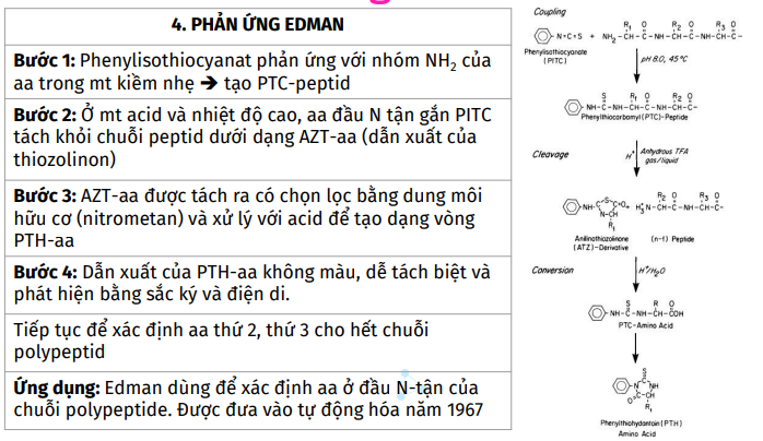 Pasted image 20241214174350.png